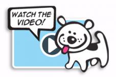 Watch the Video